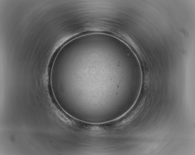 X0000111870787200907231511