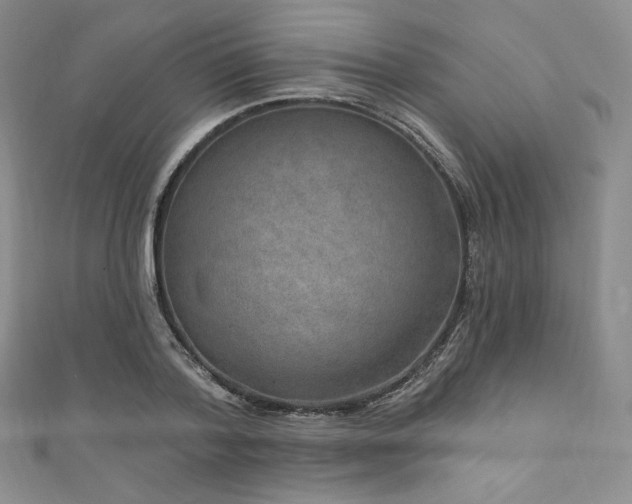 X0000111870788200907231511