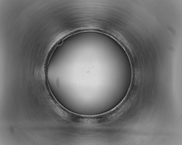 X0000111870789200907231511