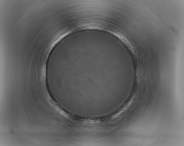 X0000111870790200907231511