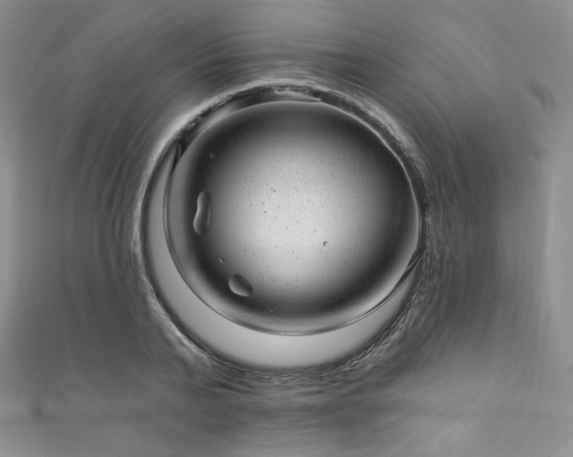X0000111870791200907231511