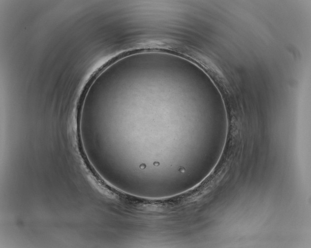 X0000111870792200907231511