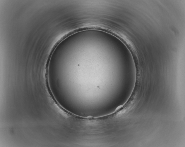 X0000111870799200907231511