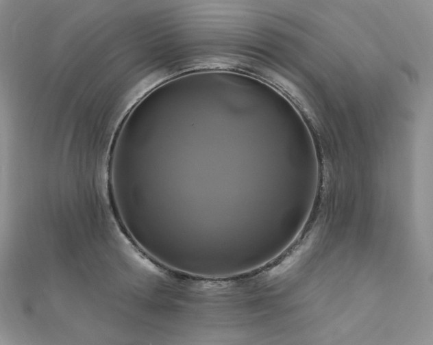 X0000111870802200907231511