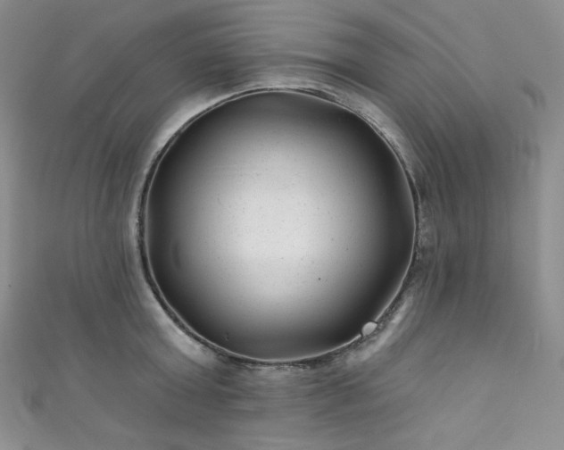 X0000111870803200907231511