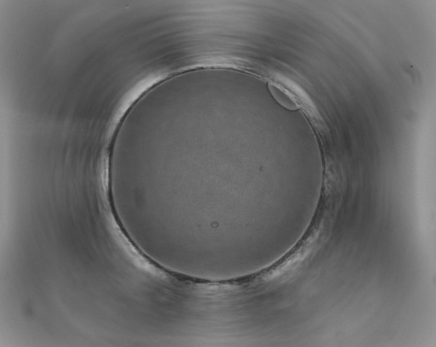 X0000111870804200907231511