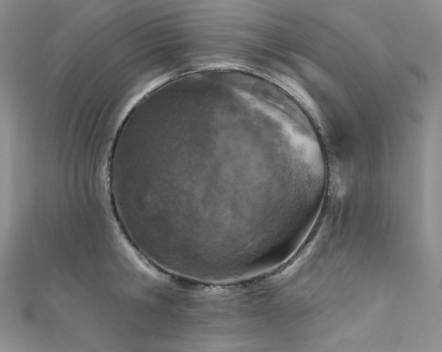 X0000111870806200907231511