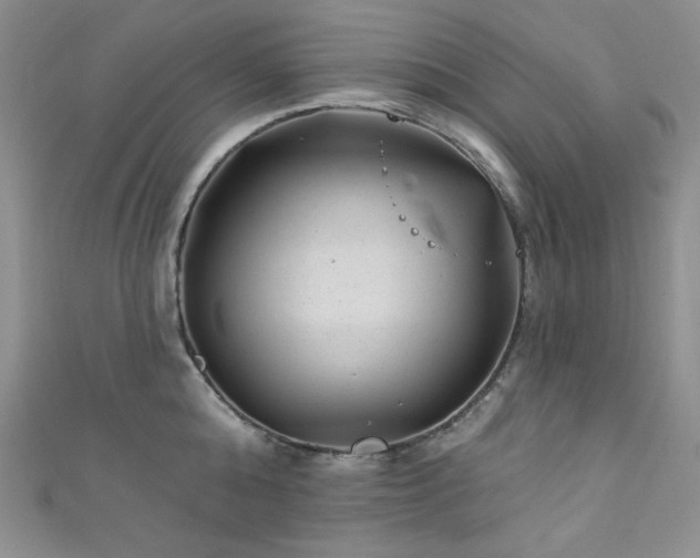 X0000111870808200907231511