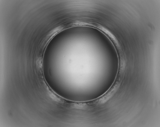 X0000111870809200907231511