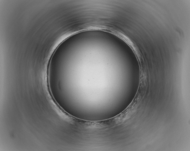 X0000111870811200907231511