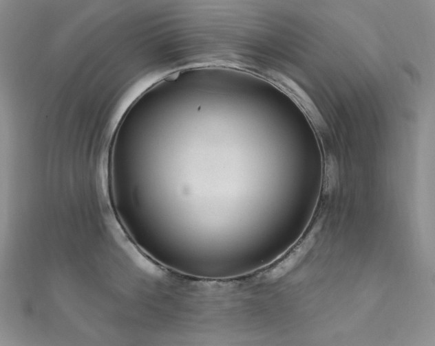 X0000111870812200907231511