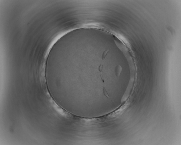 X0000111870816200907231511