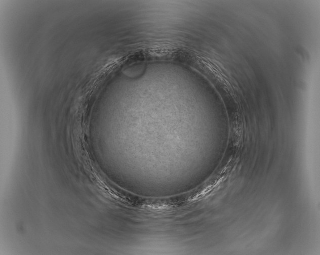 X0000111870817200907231510