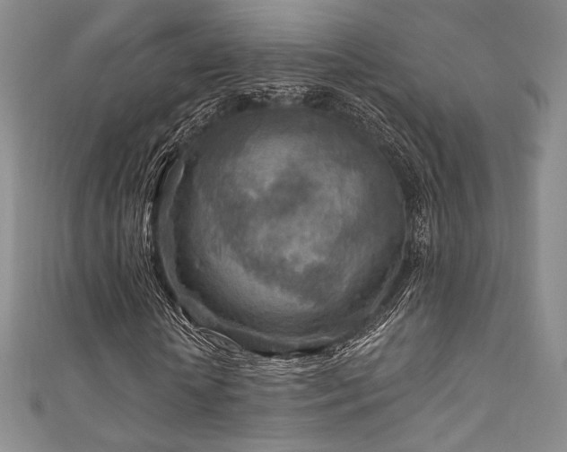 X0000111870818200907231510