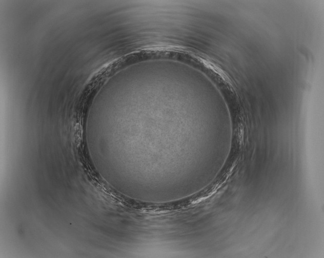 X0000111870821200907231511