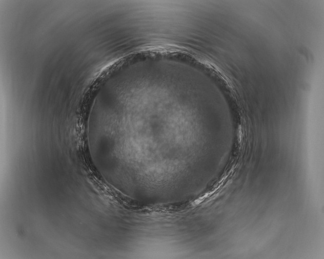 X0000111870822200907231511