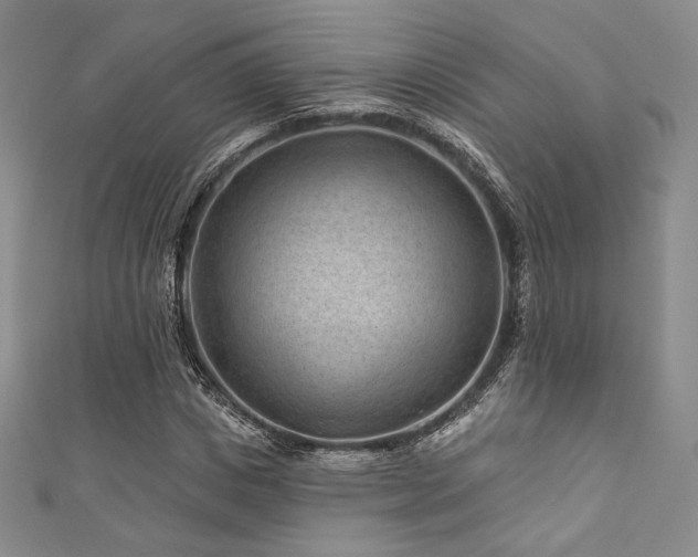 X0000111870825200907231511