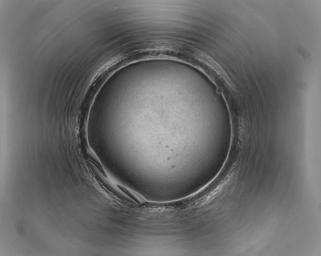 X0000111870826200907231511