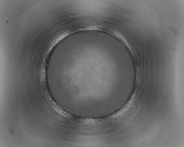 X0000111870827200907231511