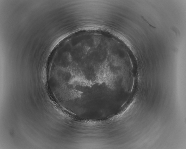 X0000111870829200907231511