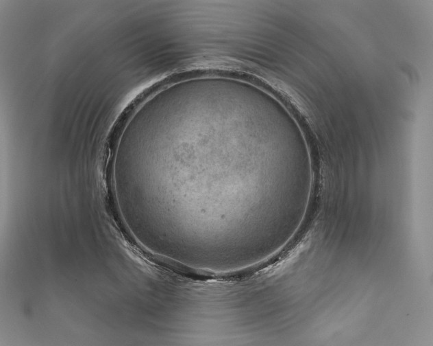 X0000111870830200907231511