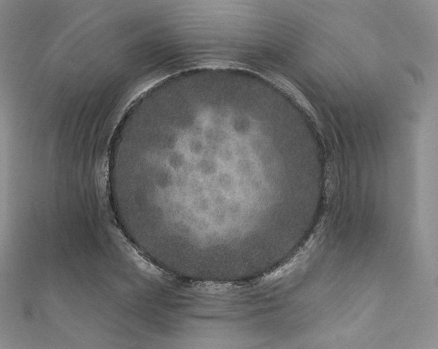 X0000111870831200907231511
