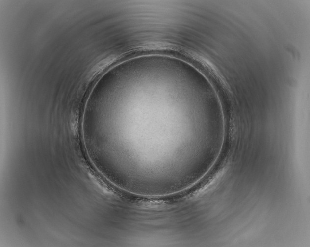 X0000111870833200907231511