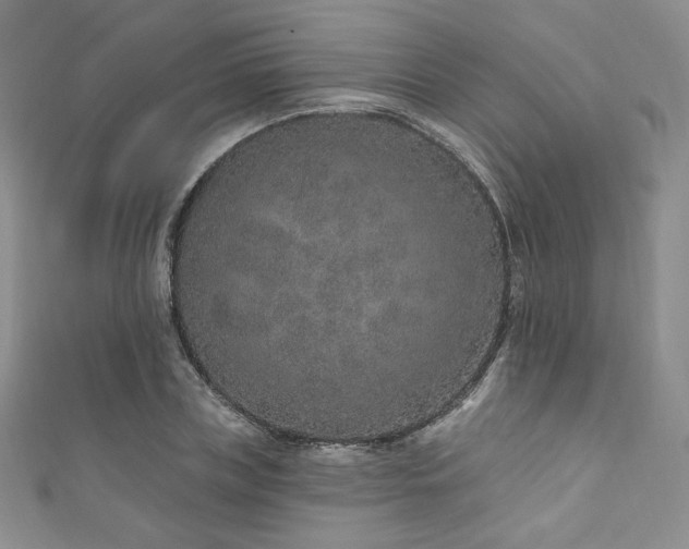 X0000111870835200907231511