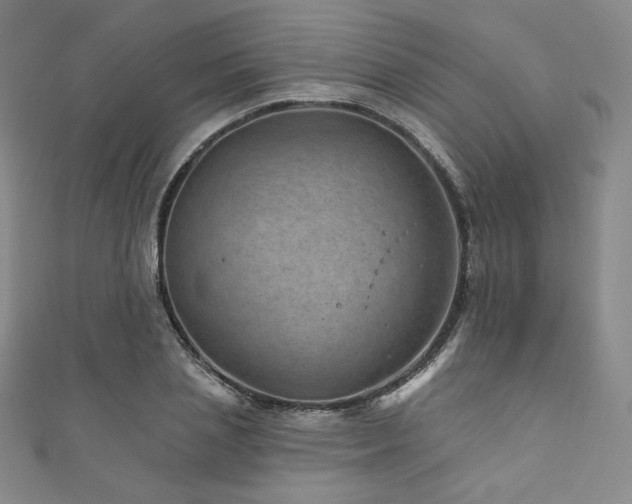 X0000111870837200907231511