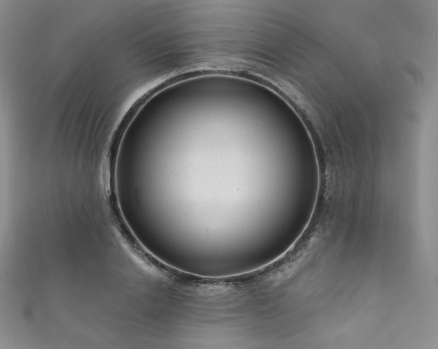 X0000111870838200907231511