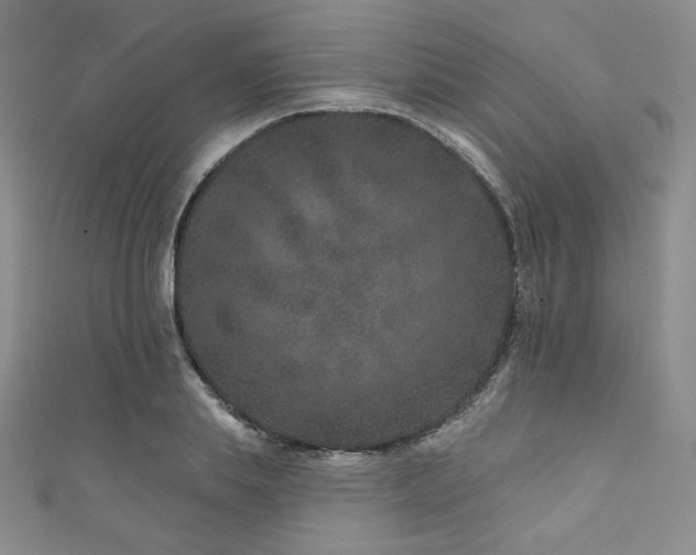 X0000111870839200907231511