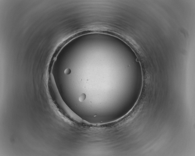 X0000111870840200907231511