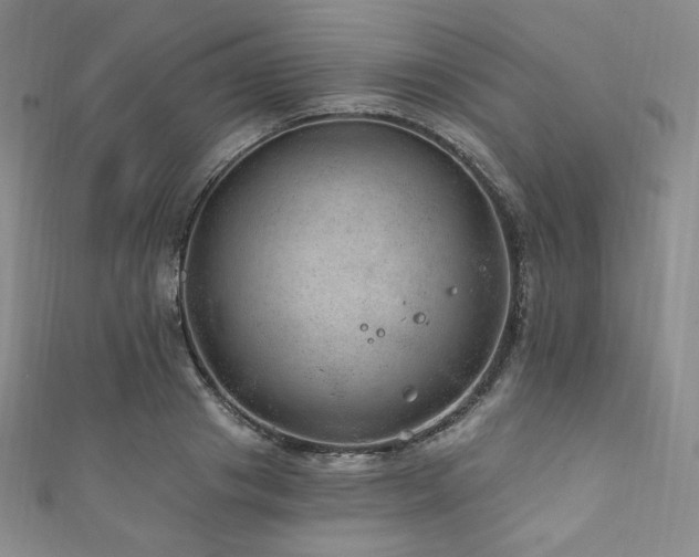 X0000111870841200907231511
