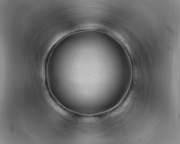 X0000111870843200907231511