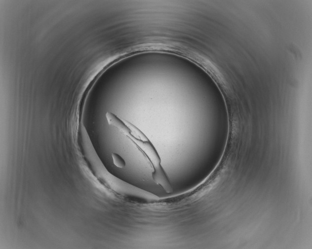 X0000111870844200907231511