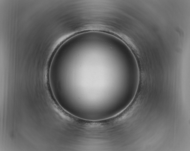 X0000111870846200907231511