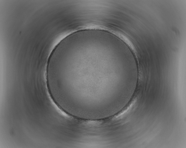 X0000111870847200907231511
