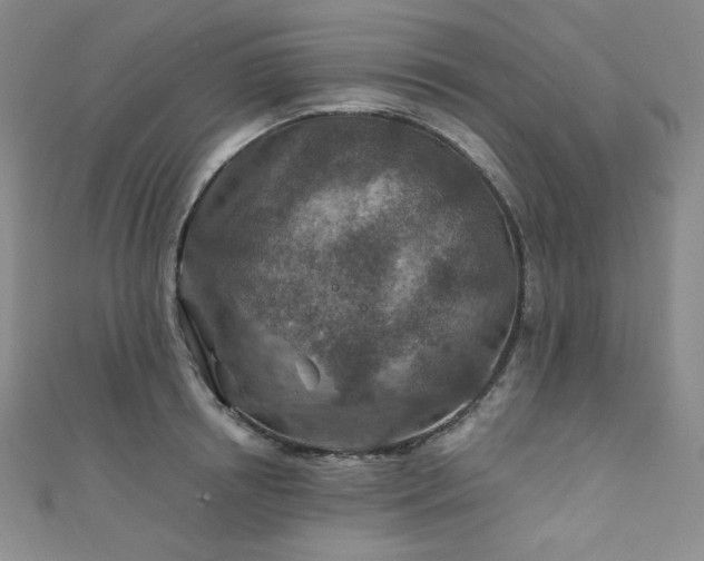 X0000111870850200907231511