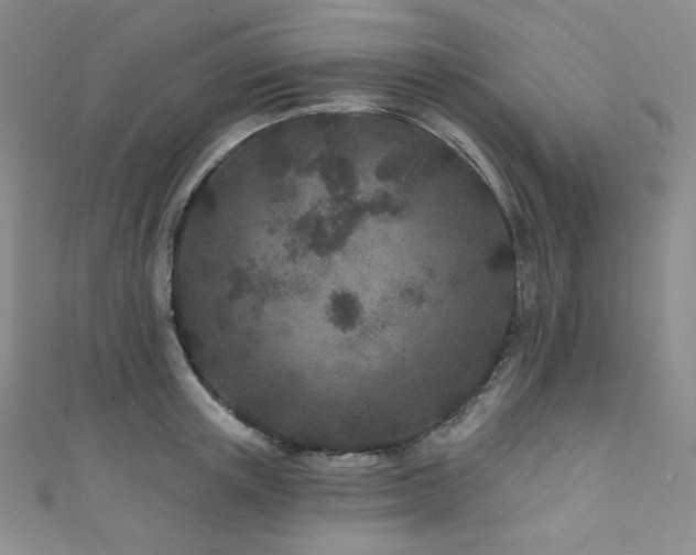 X0000111870851200907231511