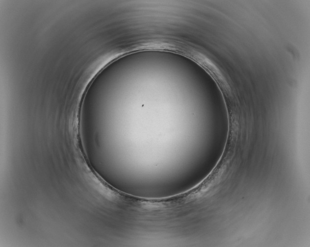 X0000111870852200907231511