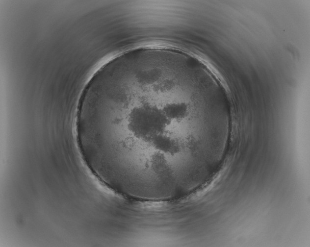 X0000111870853200907231511