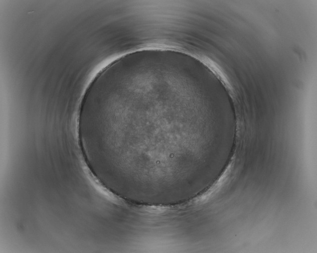 X0000111870854200907231511