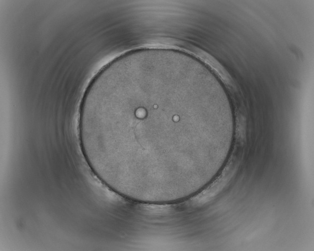 X0000111870856200907231511