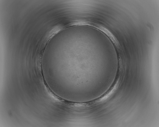 X0000111870857200907231511
