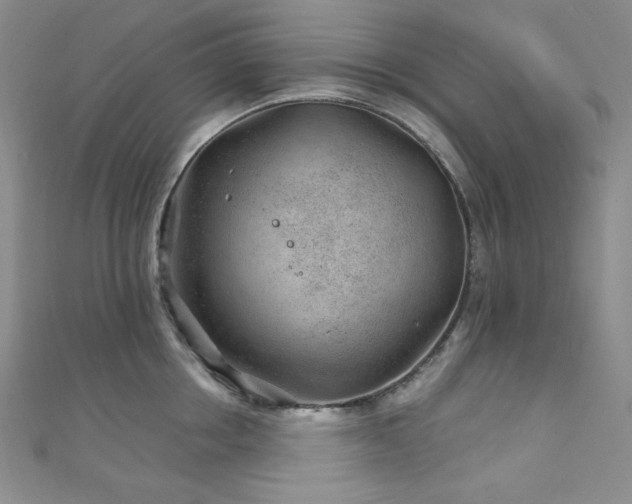 X0000111870858200907231511