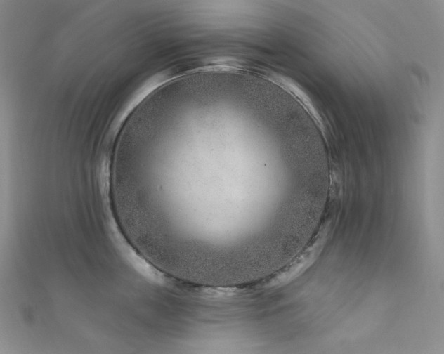 X0000111870859200907231511