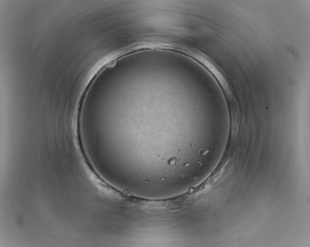 X0000111870861200907231511