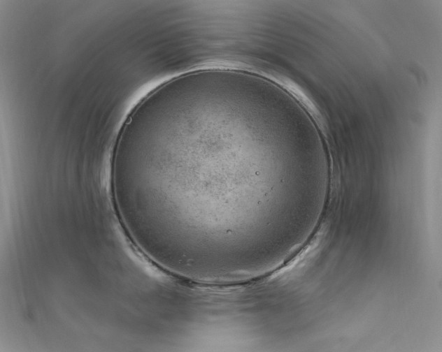X0000111870862200907231511