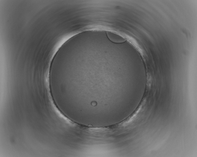 X0000111870863200907231511