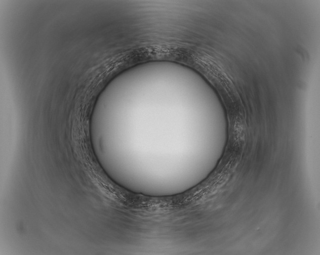 X0000111870865200907231510